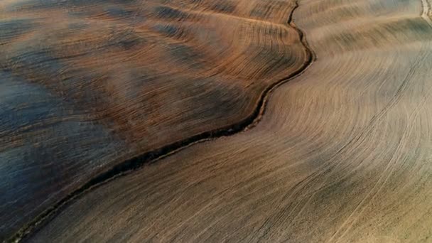 Moving Aerial Shot Harvested Fields Trees Hills Grand Scale View — Stock Video