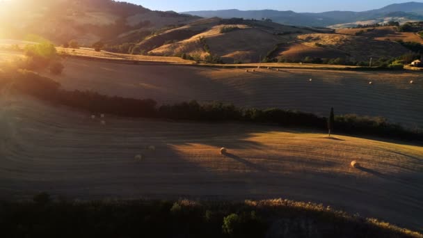 収穫のフィールド や丘の空中ショットを移動します 夕日に照らされた美しい色を持つ壮大なスケール ビュー — ストック動画