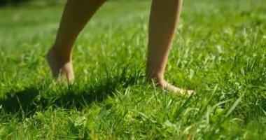 Yakın çekim yaz yeşil çimenlerin üzerinde yürüyüş kadının ayakları bir kadeh. Şık elbise ve beklemeler mobil telefon giyiyor. Mutlu yaz saati.