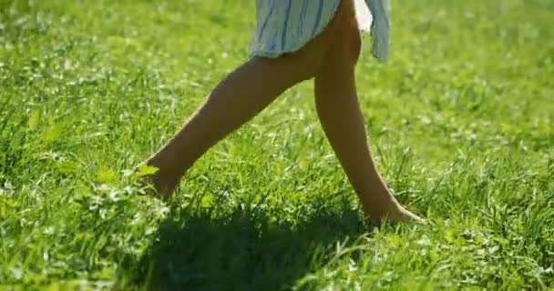 Close Shot Van Vrouw Benen Lopen Het Gras Zomer Draagt — Stockvideo