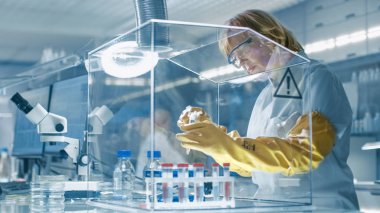 Üst düzey kadın Epidemiyolog yalıtım torpido örnekleri ile çalışır. O bir Modern, meşgul laboratuarda en son teknoloji ile donatılmış.
