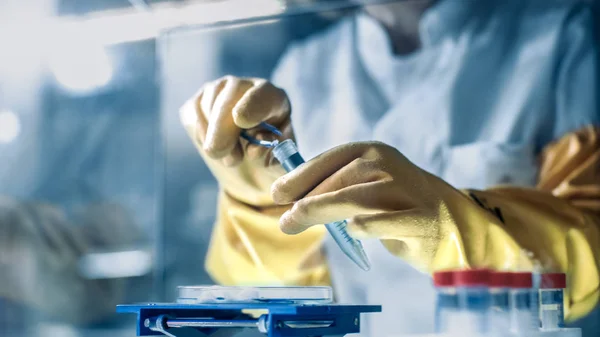Close Shot Scientists Hands Samples Isolation Glove Box She Modern — Stock Photo, Image