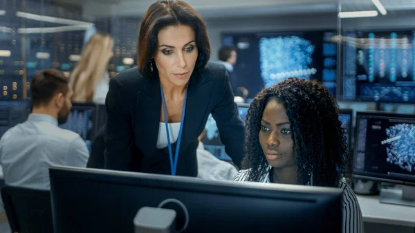 Kvinnliga Ledare Samråder Unga Dataingenjör Arbetar Ett Trångt Kontor Ett — Stockfoto