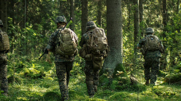 Squad of Five Fully Equipped Soldiers in Camouflage on a Reconnaissance Military Mission, Rifles in Firing Position. They're Moving in Formation Through Dense Forest. Back View Shot.