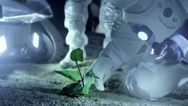エイリアンの惑星の つの宇宙飛行士は 植物の生命を発見します 宇宙旅行 住むに適した世界と植民地化の概念の発見 — ストック動画