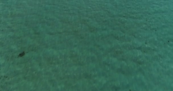 Воздушный След Маленького Частного Острова Курортом Luxury Village Несколько Стильных — стоковое видео