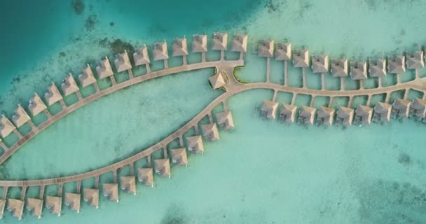 顶部空中射击的豪华水上 浮动平房和别墅连接 海蓝宝石海 帕拉迪斯岛上的棕榈树 美丽的自然精彩的生活 — 图库视频影像