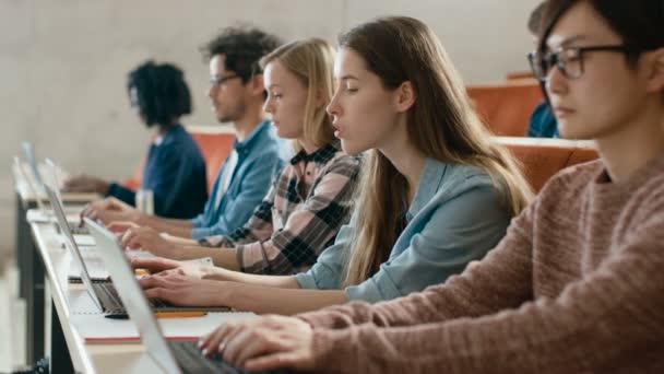 Fila Multi Estudantes Étnicos Trabalhando Nos Laptops Enquanto Ouve Uma — Vídeo de Stock