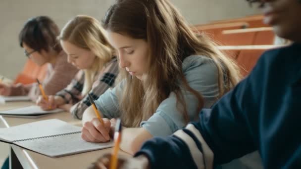 Rij Van Multi Etnische Studenten Klas Examen Nemen Test Schrijven — Stockvideo