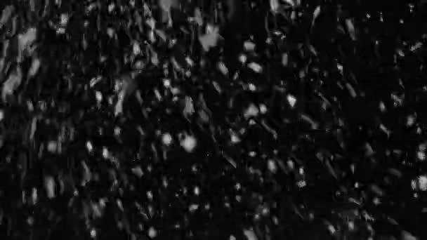 暴风雨天气 雪花坠落 大雪花与阵风 孤立的黑色背景 在混合 叠加模式中易于使用的真实镜头闪光灯 — 图库视频影像