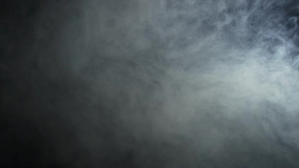 Realistischer Rauch Nebel Der Sich Lichtstrahl Vor Schwarzem Hintergrund Bewegt — Stockvideo