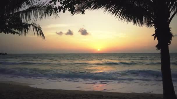 Exotisk ö med idyllisk solnedgång på en strand med palmer. — Stockvideo
