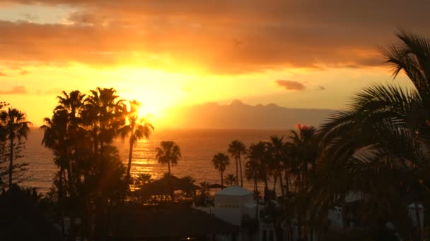 Erhöhte Aufnahme eines wunderschönen Sonnenuntergangs auf einer exotischen Insel und Meer sichtbar, mit Silhouetten von Palmen und Gebäuden, die. — Stockvideo