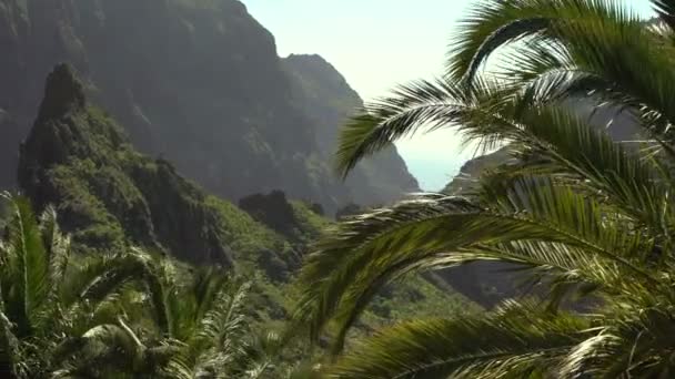 Palmen, Berge, Hügel und üppiger Urwald an einem sonnigen Tag mit klarem Himmel. idyllisch schöne Natur. — Stockvideo