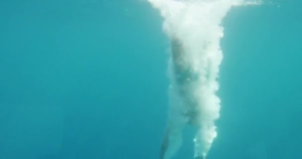 Подводные кадры, где человек прыгает в воду и плавает. Дайвинг в океане . — стоковое видео