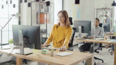 Şık Modern Ofis: Masaüstü Bilgisayarlarda Çalışan Profesyonel Ofis Çalışanları Grubu. İş Arkadaşlarıyla Konuşmak, Yazılım Tasarlamak, Müşteri Desteği Gerçekleştirmek, Müşterilere E-posta Gönder, Pazarlama Satışları