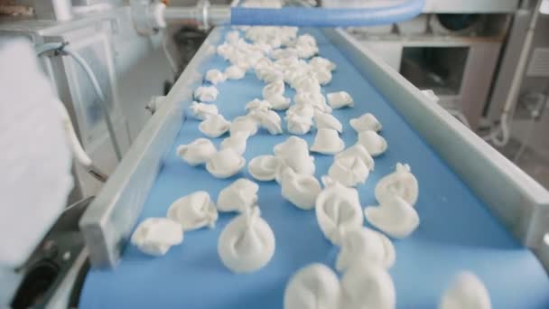 Riprese ravvicinate del processo di produzione automatica della macchina in una fabbrica di gnocchi. Fresco Pelmeni grezzo spostare sul nastro trasportatore. Macchinari industriali operanti in una fabbrica alimentare . — Video Stock