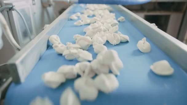 Primer plano del proceso de producción automática de máquinas en una fábrica de dumpling. Pelmeni crudo fresco se mueven en la cinta transportadora. Maquinaria industrial que opera en una fábrica de alimentos . — Vídeos de Stock