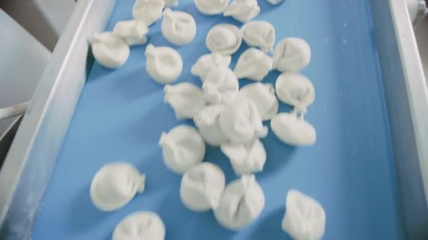 Zamknij materiał filmowy procesu automatycznej produkcji maszyn w fabryce Dumpling. Fresh RAW pelmeni przenieść na taśmie przenośnika. Maszyny przemysłowe działające w fabryce żywności. — Wideo stockowe