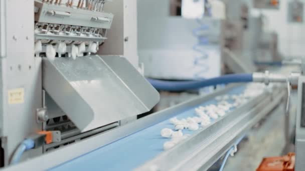 Processus de production automatique de machines dans une usine de bouletage. Pelmeni cru frais tombent sur la courroie transporteuse. Machines industrielles fonctionnant dans une usine alimentaire . — Video