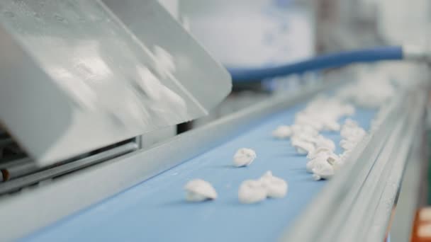 Primer plano del proceso de producción automática de máquinas en una fábrica de dumpling. Caída fresca de Pelmeni crudo en la cinta transportadora. Maquinaria industrial que opera en una fábrica de alimentos . — Vídeos de Stock