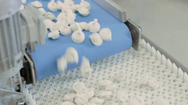 Bir Köfte Fabrikasında Otomatik Makine Üretim Sürecinin Yakın Çekim Görüntüleri. Taze Ham Pelmeni Konveyör Bant Üzerine Güz. Gıda Fabrikasında Endüstriyel Makine İşletilmesi.