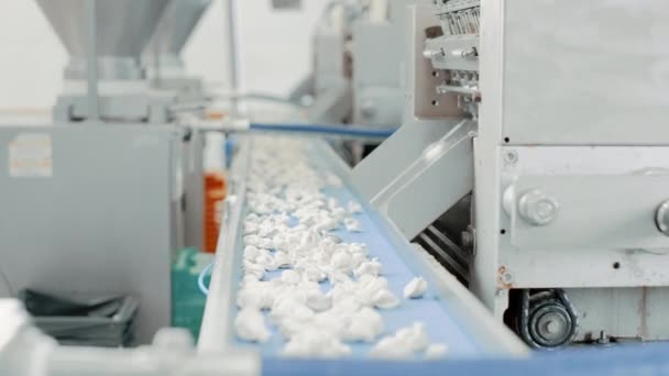Automatische machine productieproces in een Dumpling fabriek. Verse rauwe pelmeni vallen op de transportband. Industriële machines die werkzaam zijn in een levensmiddelen fabriek. — Stockvideo