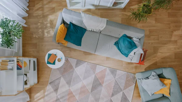 Salon vide avec personne dedans. Intérieur moderne avec tapis, canapé gris avec oreillers bleus et jaunes, chaise, table basse, étagère avec livres, plantes vertes et parquet. Vue du dessus . — Photo