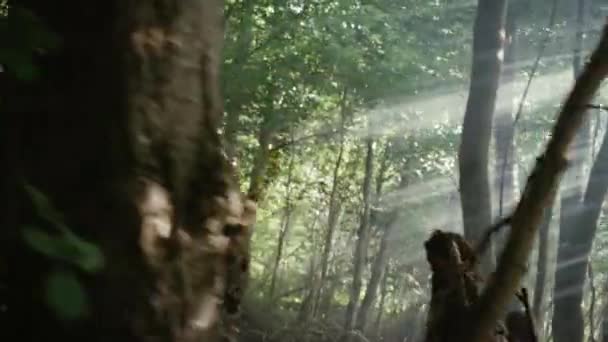 Tribo de caçadores-coletores vestindo pele animal segurando ferramentas de ponta de pedra, explore a floresta pré-histórica em uma caça a presas de animais. Neandertal Família Caça na Selva ou Migração. Vista do arco lateral — Vídeo de Stock