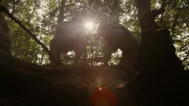 Bow Matkap Yöntemi ile Yangın Yapmaya Çalışan Hayvan Derileri Giyen İki Primeval Cavemen Silueti. İnsan Uygarlığı Tarihinde Neandertal Kindle İlk İnsan Yapımı Ateş. Düşük Açı Atış