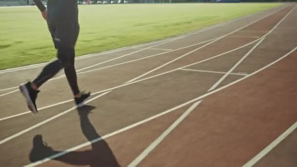 Athletic Fit man i grå skjorta och shorts jogging på arenan. Han springer bekvämt på en varm sommar eftermiddag. Idrottsman gör sin rutinmässiga idrottsutövning. Spårnings bild. — Stockvideo