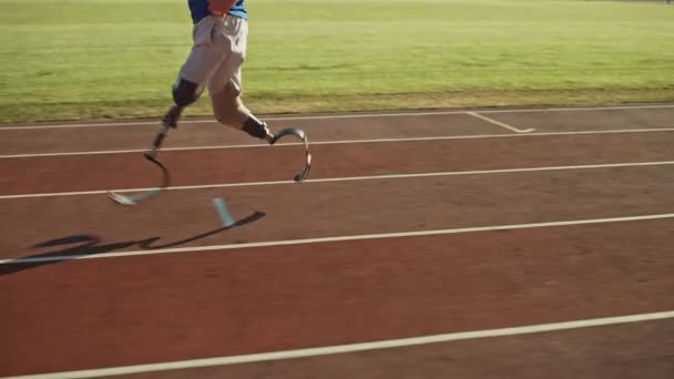 Athletic niepełnosprawnych Fit Man z protetyczne Running ostrza jest szkolenie na zewnątrz stadionu w słoneczne popołudnie. Po amputacji biegacz jogging na torze Stadium. Motywacyjny materiał sportowy. Niski strzał w nogę. — Wideo stockowe