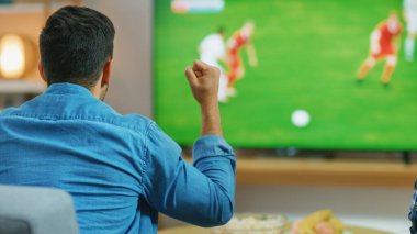 Home Sports Fan, televizyonda 