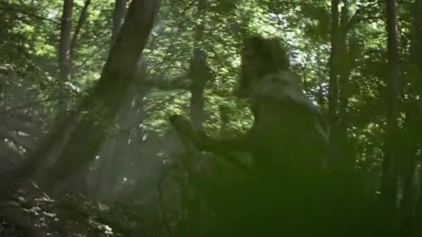 Primeval Caveman vestindo pele animal detém pedra ponta Spear olha ao redor, explora floresta pré-histórica em uma caça a presas animais. Neandertal vai caçar na selva — Vídeo de Stock