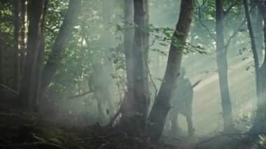 Hayvan Derisi Tutma Taşı Taşı Giyen Avcı-Toplayıcılar kabilesi Hayvan Avı Avında Tarih Öncesi Ormanı Keşfeder. Ormanda Neandertal Aile Avı ya da Daha İyi Topraklar İçin Göç