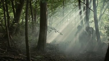 Hayvan Derisi Tutma Taşı Taşı Giyen Avcı-Toplayıcılar kabilesi Hayvan Avı Avında Tarih Öncesi Ormanı Keşfeder. Ormanda Neandertal Aile Avı ya da Daha İyi Topraklar İçin Göç