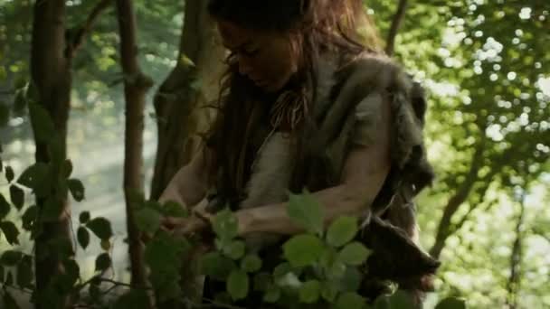 Prehistorická Jeskynní žena Lovec-sběrač Hledá ořechy a bobule v lese. Primitivní neandrtálská žena nalézající potravu ve slunečném lese