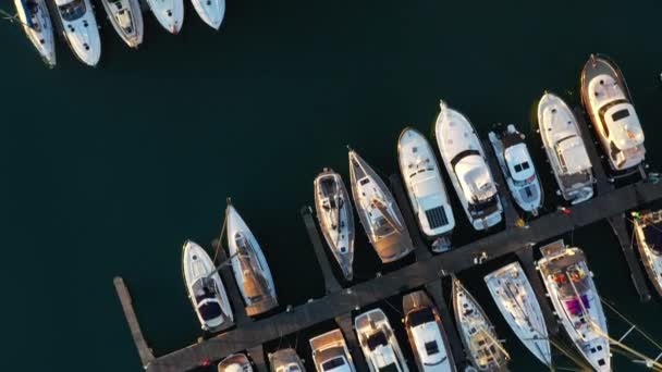 Top View Aerial Drone Filmati: Volo sopra Marina Bay con yacht di diverse dimensioni. Barche di lusso e barche da pesca parcheggiate — Video Stock
