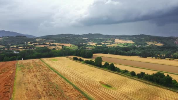 Filmati aerei drone: terreni agricoli e campi coltivati con belle montagne verdi sullo sfondo. Piantagioni di ortaggi ecocompatibili — Video Stock