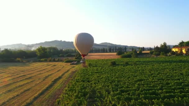 Flygdrönarbilder: varmluftsballong flyger över de vackra fälten och plantering med berg i bakgrunden — Stockvideo