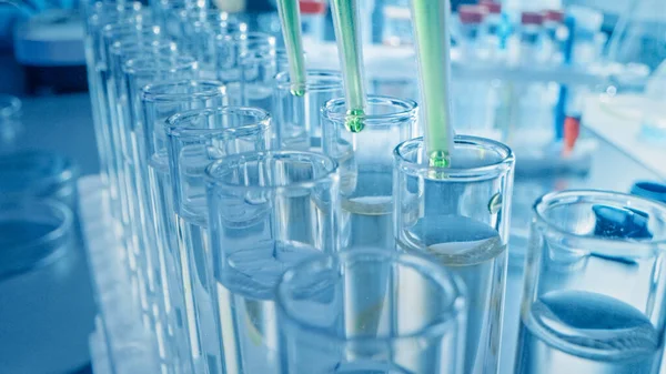 Farmaceutische Laboratorium: Meerdere Pipetten dropping Blue Liquid in reageerbuizen, Medisch Onderzoek en Analyse. Productlijn druppelaar vult monsterbuisjes voor DNA-onderzoek. Voorgrond Macro — Stockfoto