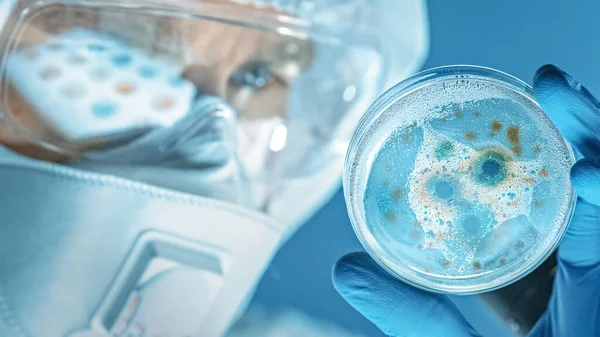 Vědec nosící respirační masku, kombinézu a bezpečnostní brýle se dívá na Petriho misky s bakteriemi, tkáněmi a krevními vzorky. Laboratoř lékařského výzkumu léčí epidemické nemoci. Detailní makro — Stock fotografie
