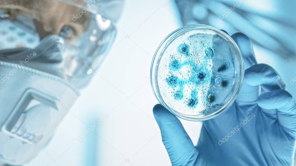 Scientist Wearing Respirator Mask, Coverall and Safety Glasses Looks at Petri Dishes with Bacteria, Tissue and Blood Samples. Medical Research Laboratory Curing Epidemic Diseases. Close-up Macro