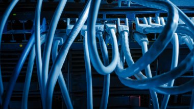 Makro Çekim: Ethernet Kabloları Yönlendirici Portlara Bağlandı. Telekomünikasyon: Modem Merkezlerine takılı RJ45 Aygıt Bağlantıları.