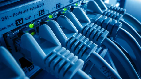 Macro Shot: Cabos de Dados Ethernet Conectados a Portas de Roteador com Luzes de Piscar. Telecomunicações: Conectores de Internet RJ45 ligados a comutadores LAN Modem . — Fotografia de Stock