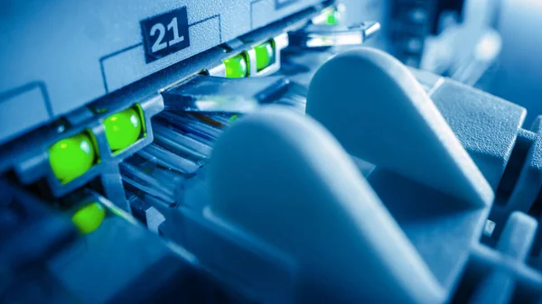 Macro Shot: Ethernet Data Cables Connected to Router Ports with Flashing Lights. Telecommunications: Information Communication Network with RJ45 Internet Connectors Plugged into Modem LAN Switches — Stock Photo, Image