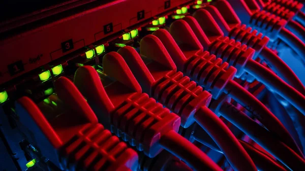 Макро-шот: Кабели передачи данных Ethernet подключаются к маршрутизатору с подсветкой. Информационные технологии с интернетом RJ45 встроены в модем Switches. Neon Red Blue Lighting — стоковое фото