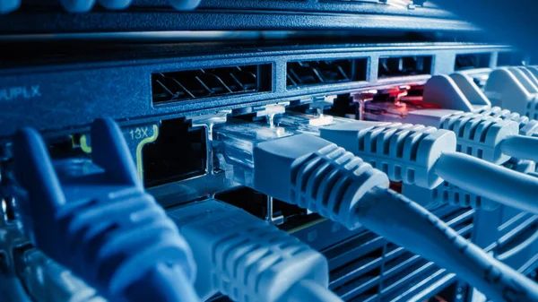 Makroaufnahme aus nächster Nähe: Ethernet-Kabel, die mit Router-Ports verbunden sind. Telekommunikation: RJ45-Gerätesteckverbinder an Modem-Hubs angeschlossen. — Stockfoto