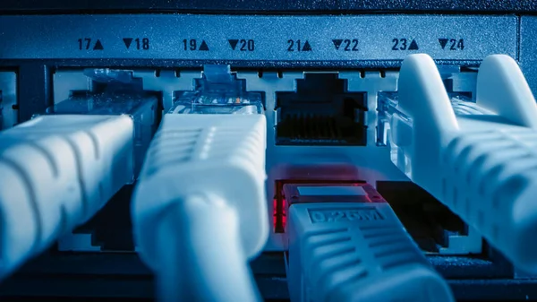 Close-up Macro Shot: Ethernet Cables Connected to Router Ports (dalam bahasa Inggris). Telekomunikasi: Konektor Perangkat RJ45 ditancapkan ke Hubs Modem. — Stok Foto