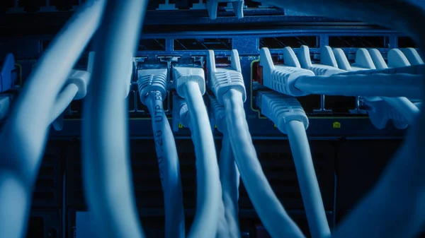 Close-up Macro Shot: Ethernet Cables Connected to Router Ports (dalam bahasa Inggris). Telekomunikasi: Konektor Perangkat RJ45 ditancapkan ke Hubs Modem. — Stok Foto